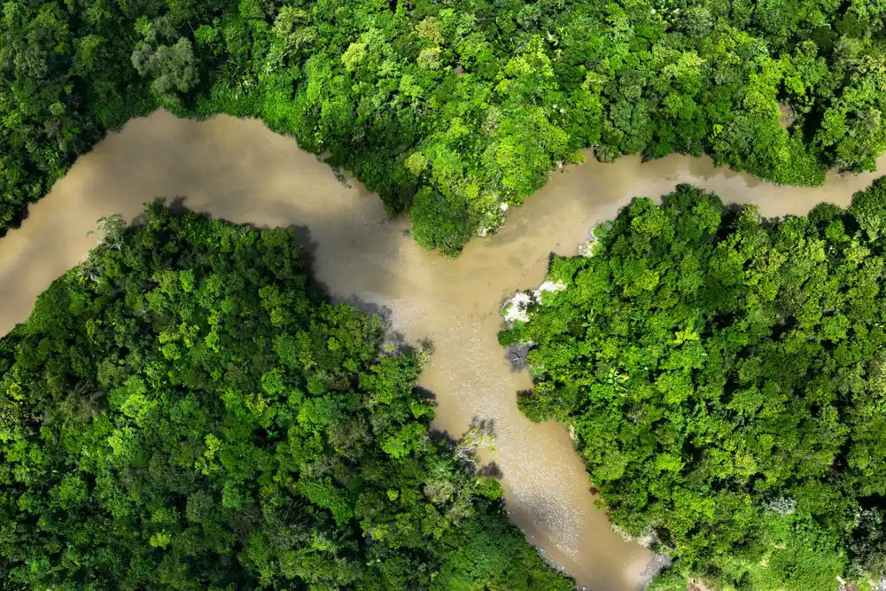 Krčenje šuma u ​​brazilskom Amazonu je na najnižem nivou od 2018