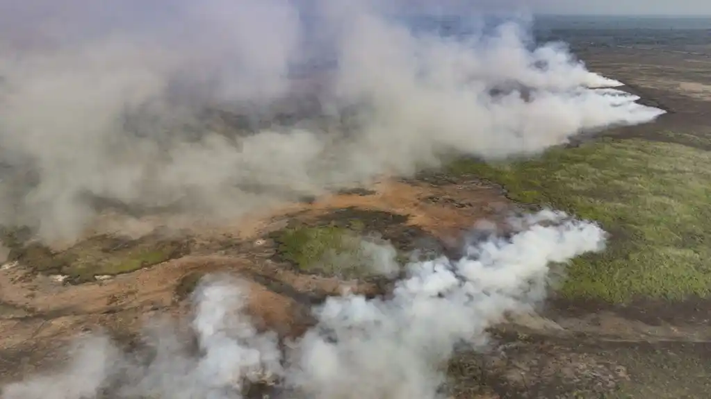 Požari u Brazilu ugrožavaju jaguare, kuće i biljke u najvećim tropskim močvarama na svetu