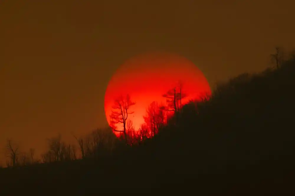 UN: 2023. će biti najtoplija godina u istoriji