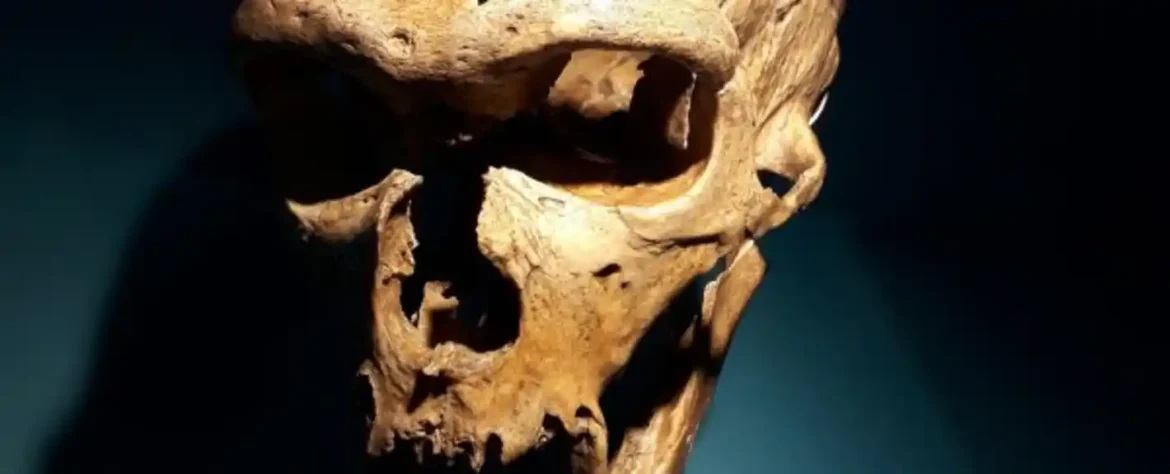 Značajno otkriće pokazuje da bi neandertalci mogli da proizvedu ljudski govor