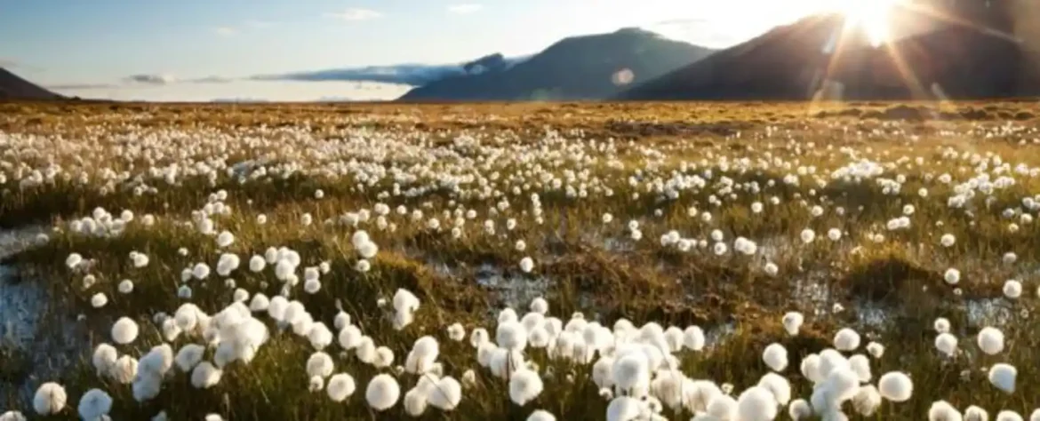 Arktički permafrost skriva migrirajući metan koji bi mogao da poraste emisije