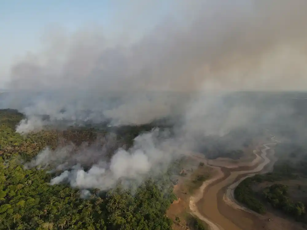 Brazil pokreće akciju od 204 miliona dolara za obnovu Amazonske prašume