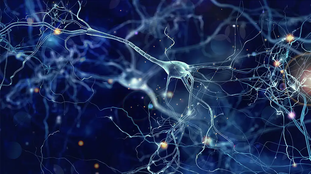 Istraživači beleže dugotrajnu električnu aktivnost u jednoj moždanoj ćeliji