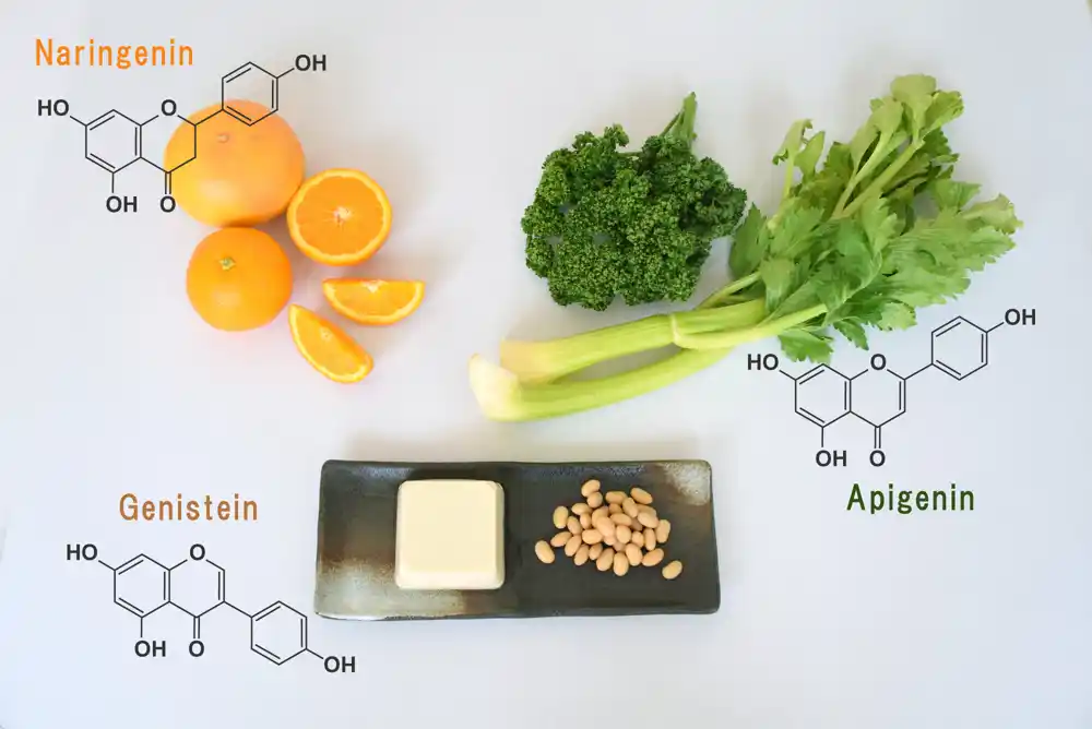 Dekodiranje metabolizma flavonoida: bliži pogled na biljnu ishranu