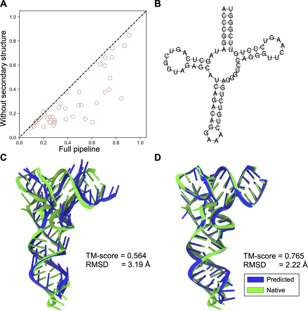 Novi pristup zasnovan na veštačkoj inteligenciji za preciznije predviđanje 3D strukture RNK