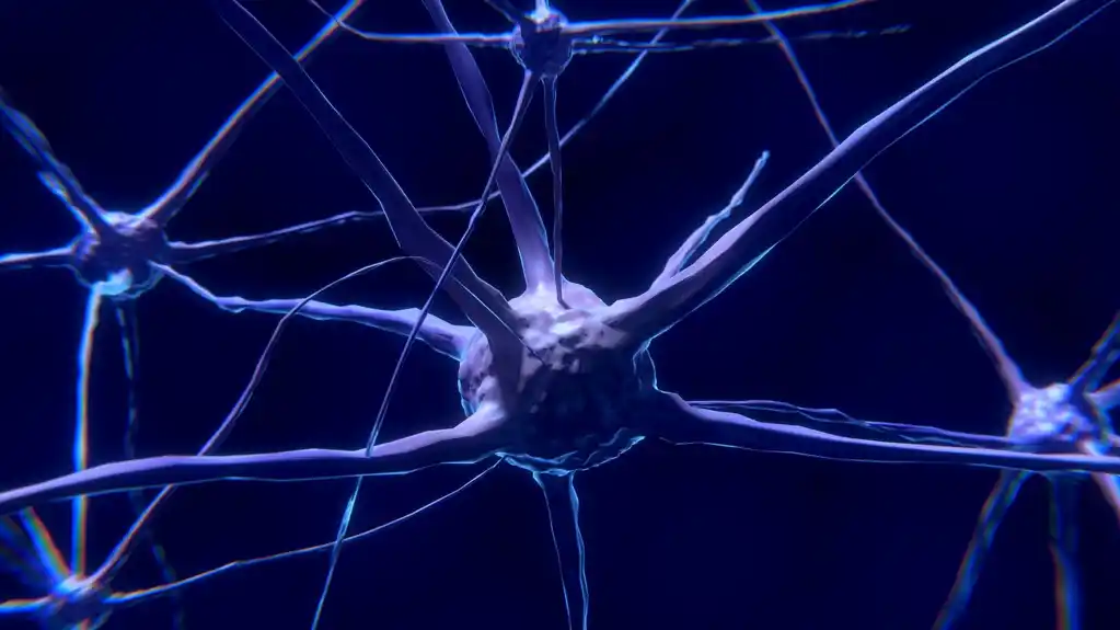 Neuroni koji ponovo ulaze u ciklus brže stare, češći kod Alchajmerove bolesti