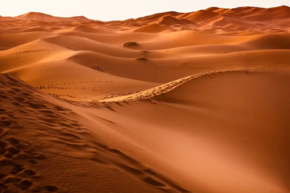 Pustinja Sahara je nekada bila zelena savana, istraživanje objašnjava zašto