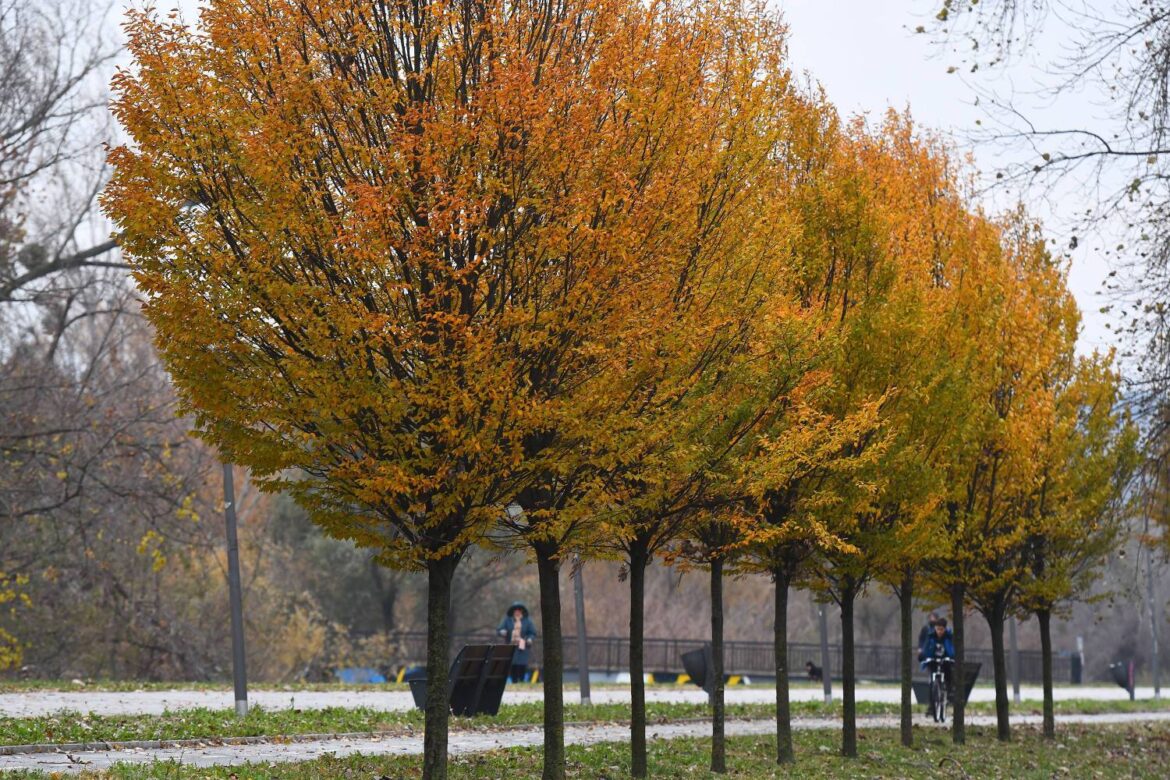 Danas suvo i toplije vreme, uveče na severu kiša – temperatura do 14 stepeni