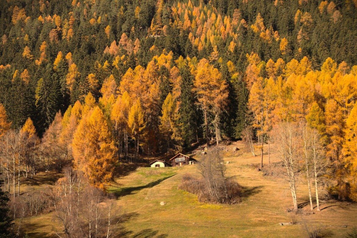 Danas oblačno i veoma toplo, temperatura do 24 stepena