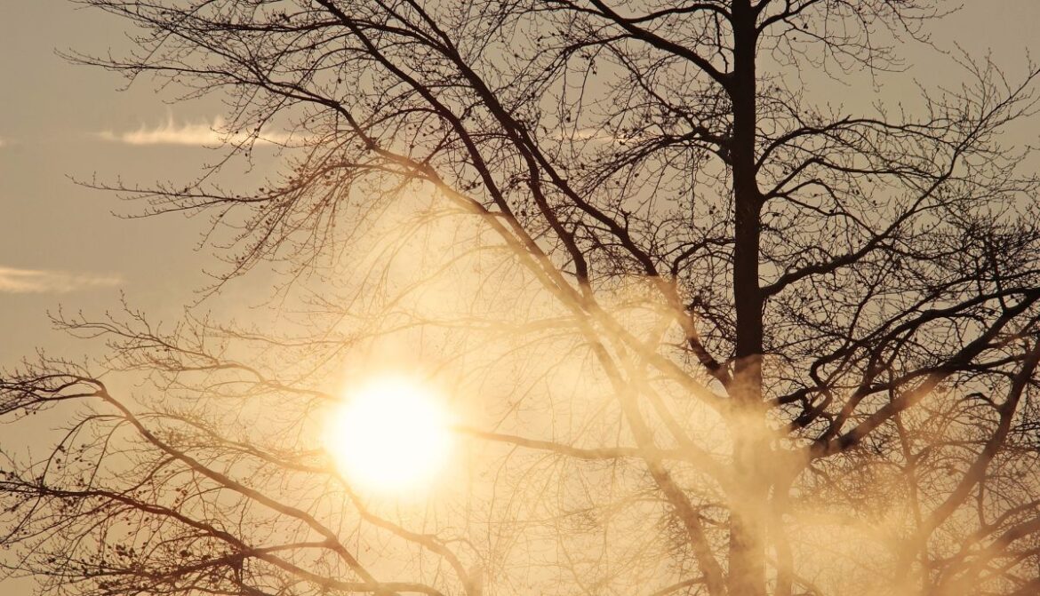 Sutra oblačno sa sunčanim intervalima i suvo, temperatura do 7 stepeni