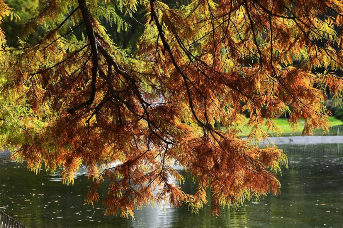 Sutra sunčano i suvo, temperatura do 18 stepeni