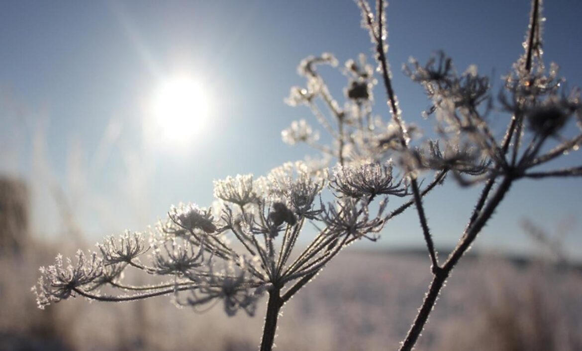 Danas pretežno sunčano, temperatura do 18 stepeni