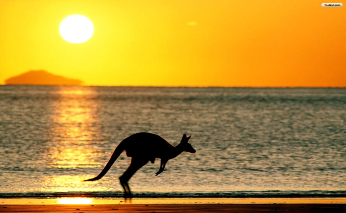 Australija: Temperature do 48 stepeni, povećan rizik od šumskih požara