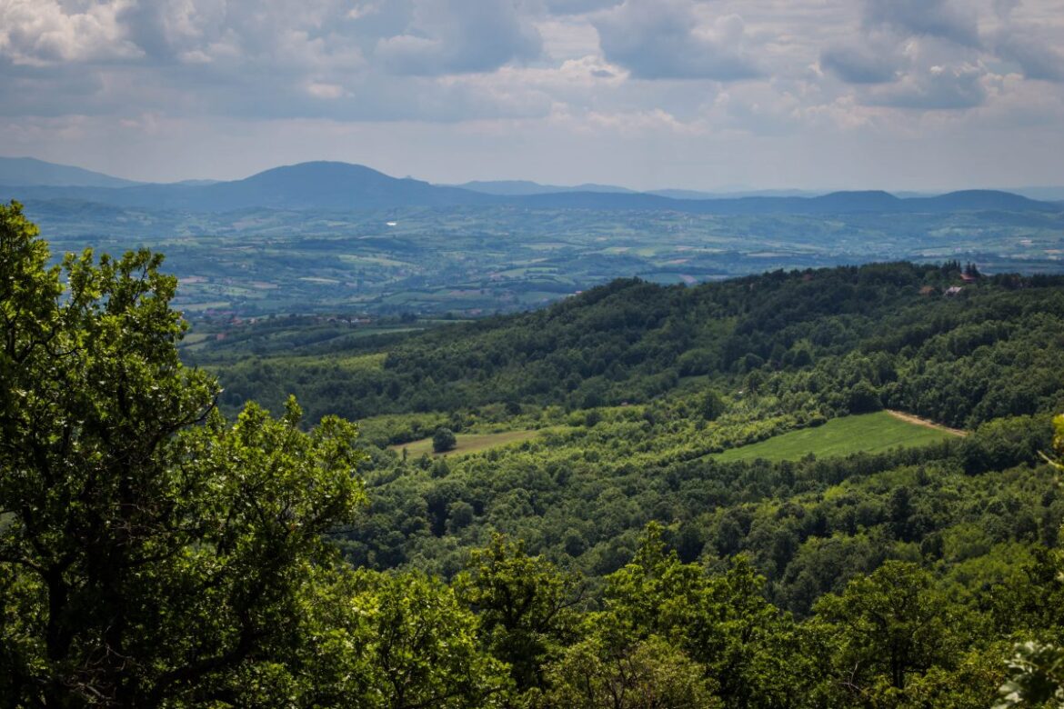 Ekološki ustanak pozvao građane da podnesu primedbe na Prostorni plan područja Avala – Kosmaj