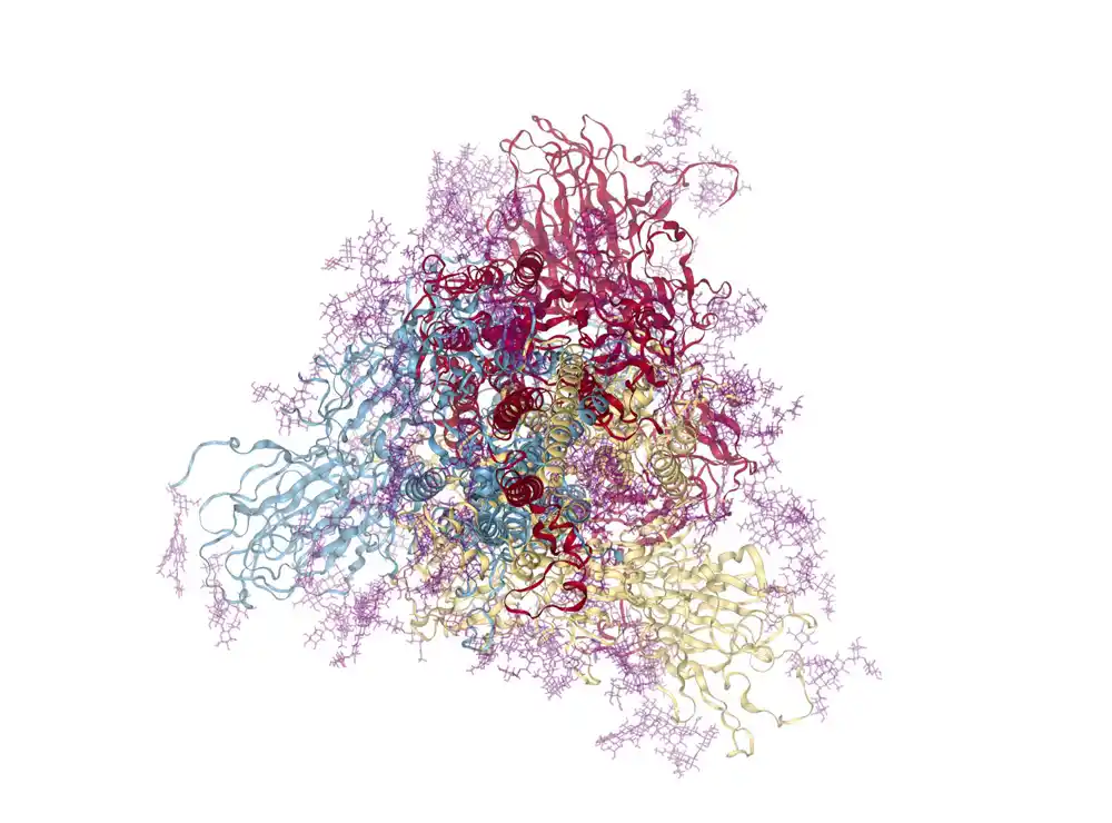 Baza podataka molekularne dinamike nudi bolje razumevanje proteina COVID-19