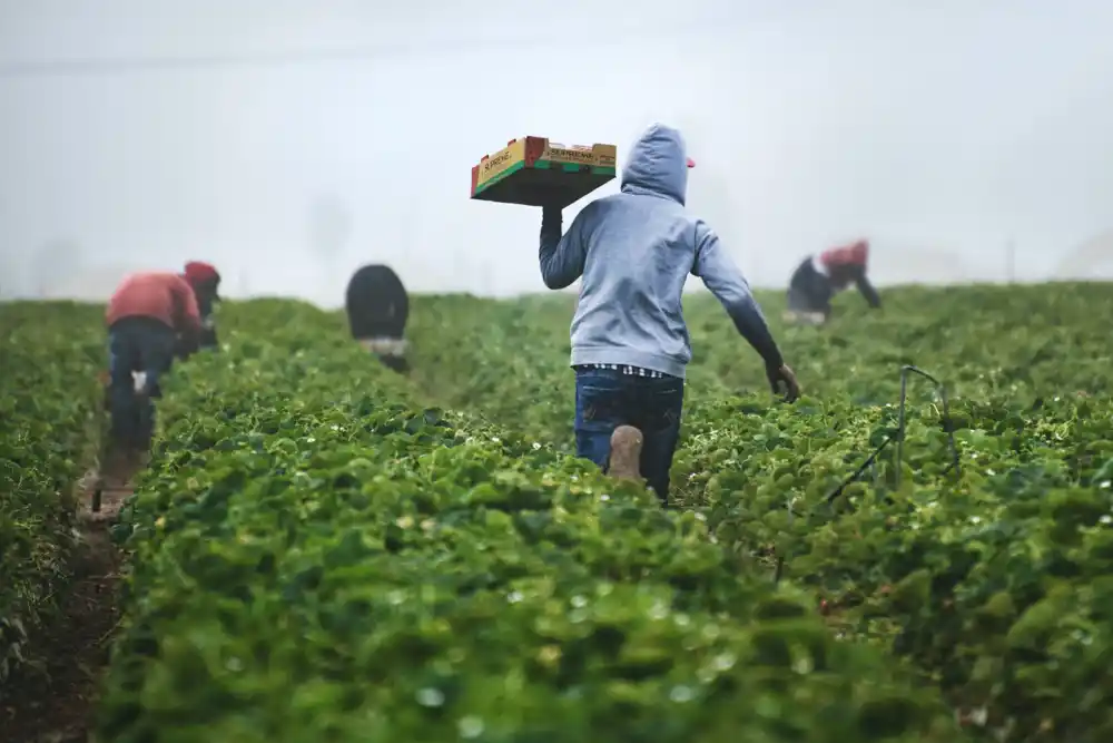 Migranti mogu biti ‘transformaciona sila’ za održivi razvoj