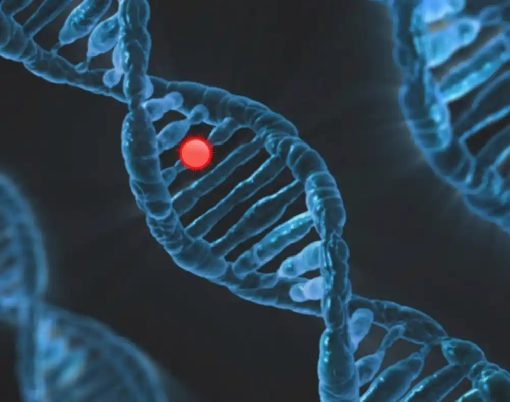 Novo otkriće promene DNK može imati koristi od teških imunoloških stanja
