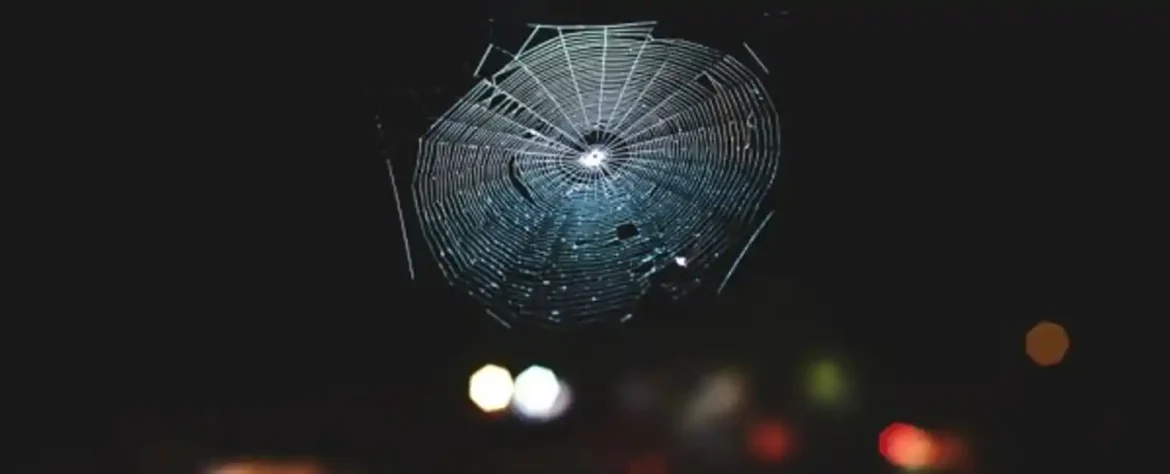 Naučnici su preveli paukovu mrežu u muziku, i to je apsolutno zapanjujuće
