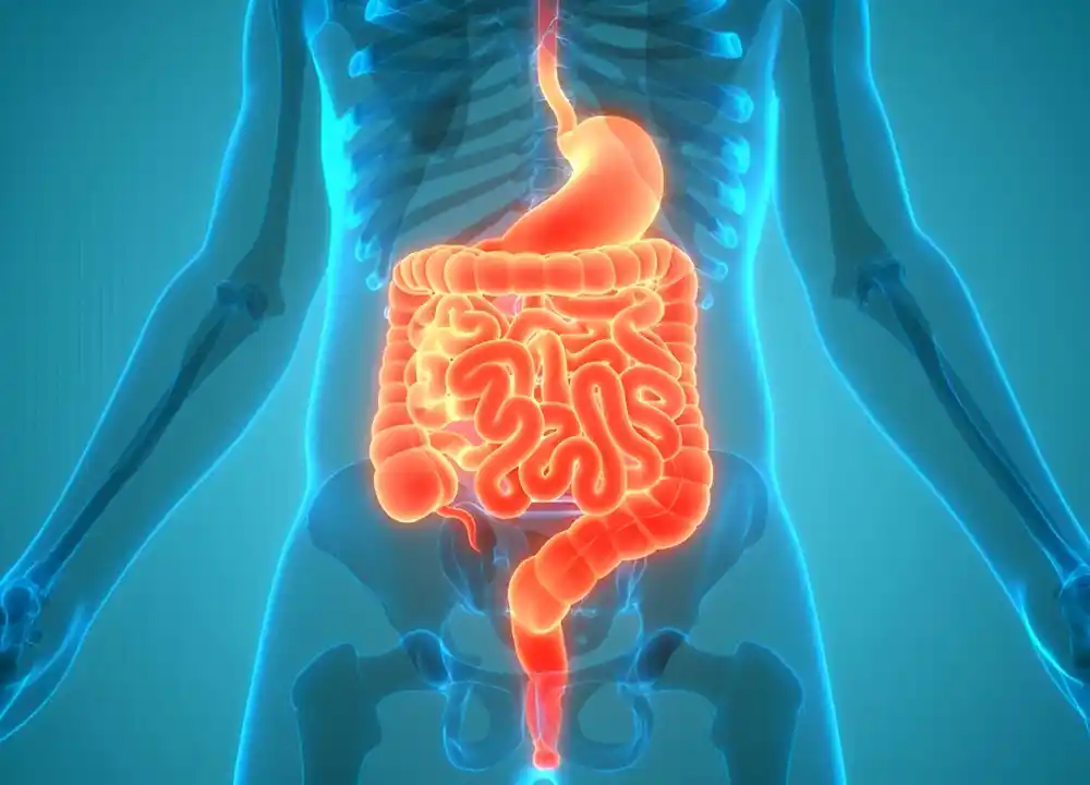 Novi biomarker pokazuje potencijal za procenu odgovora na lečenje metastatskog kolorektalnog karcinoma