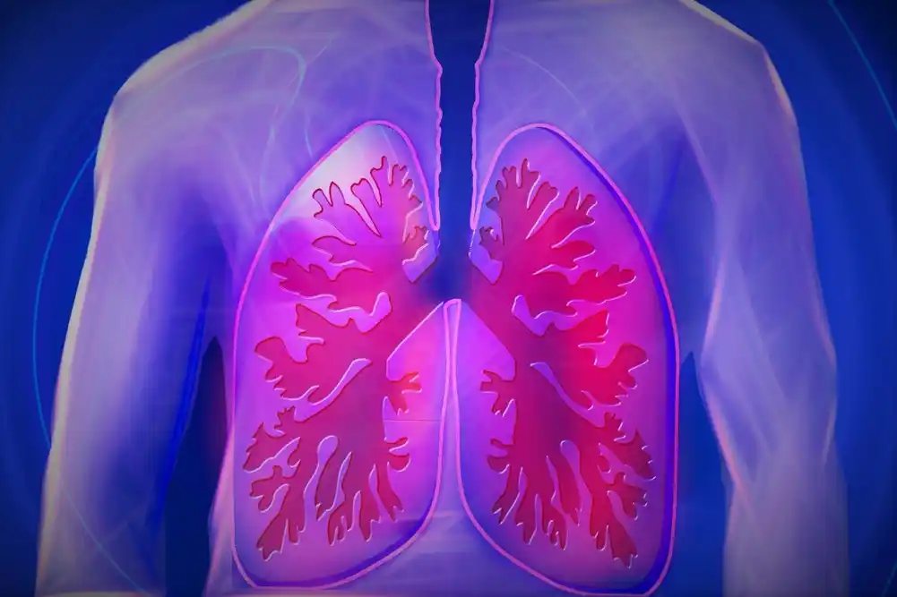 Nova studija unapređuje razumevanje regeneracije pluća