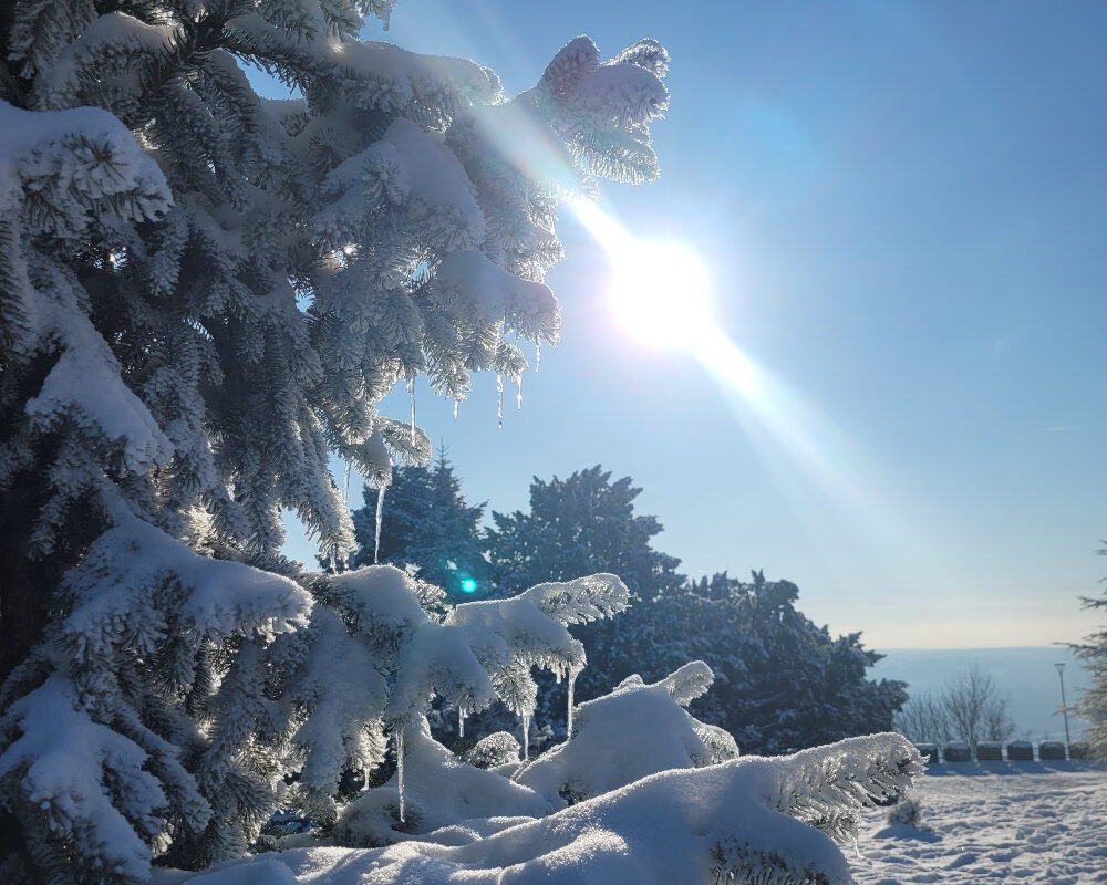 U Crnoj Gori zabeleženo minus 26 stepeni