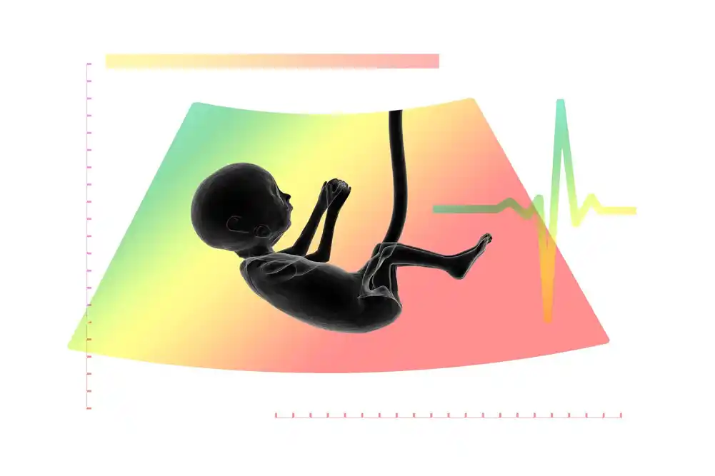 Studija pruža novo objašnjenje zašto se placenta možda ne odvaja pravilno pri rođenju, što dovodi majku i novorođenče u opasnost