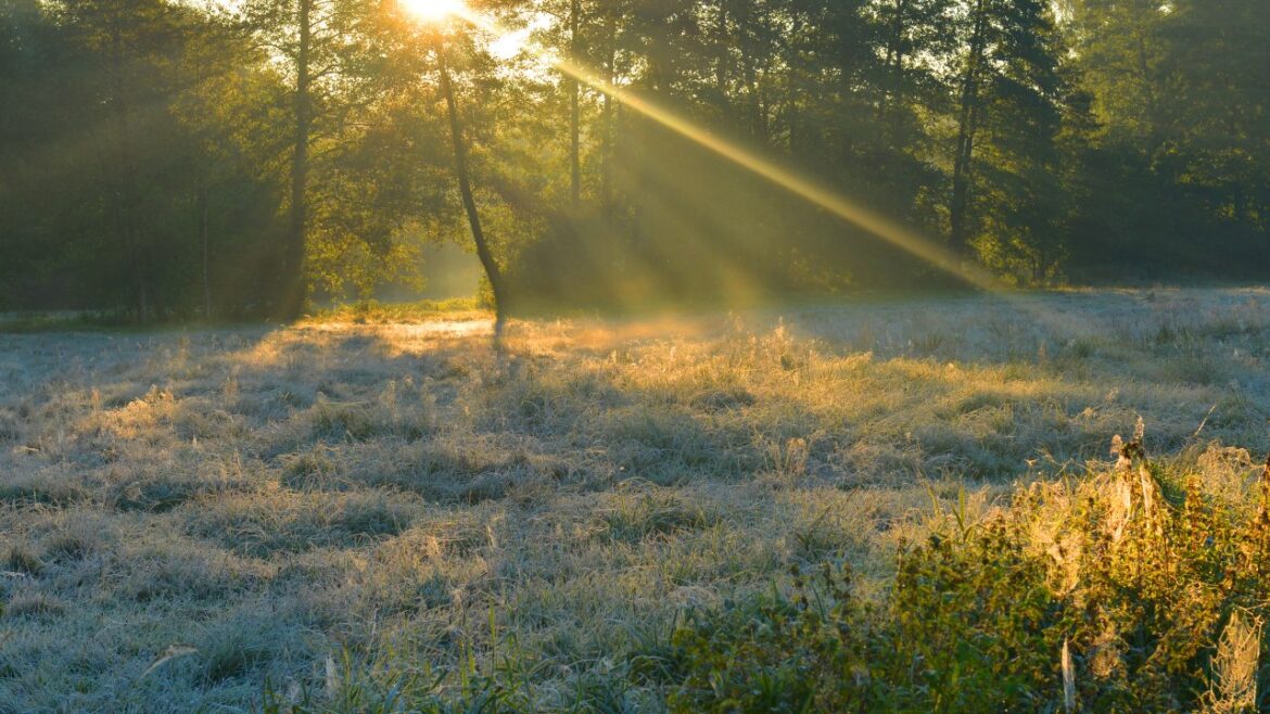 Sutra pretežno sunčano i hladno, temperatura do 9 stepeni