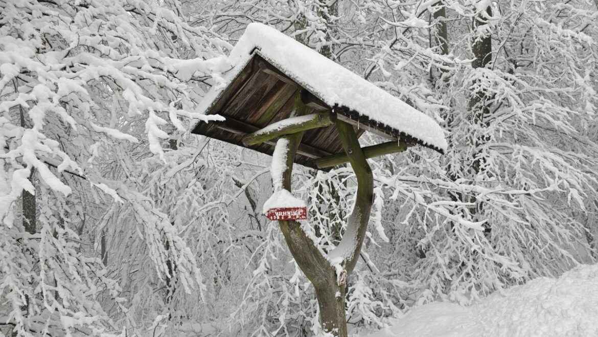 Danas oblačno i hladno, ponegde sa snegom – temperatura do 3 stepena