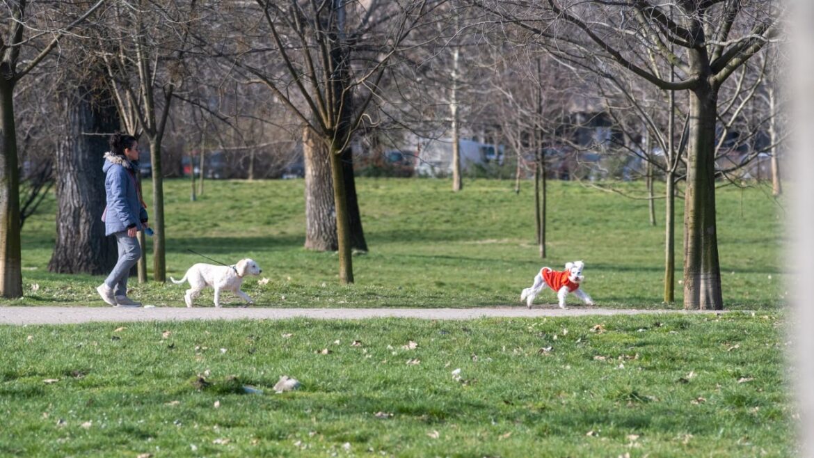 Sutra promenljivo vreme i osetno toplije, temperatura do 20 stepeni