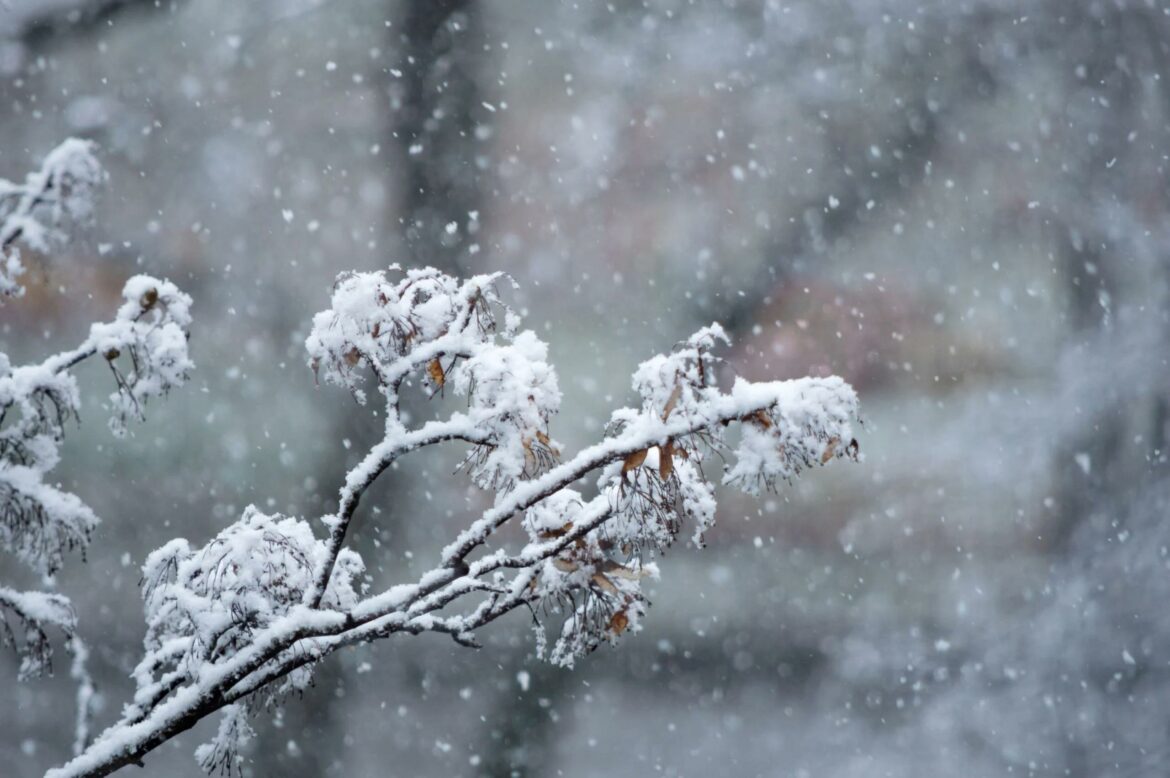 Sutra hladnije uz prestanak snega, temperatura do 6 stepeni