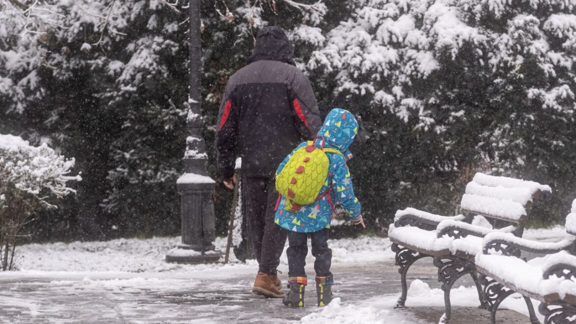 Danas ledeni dan, temperatura do 1 stepen