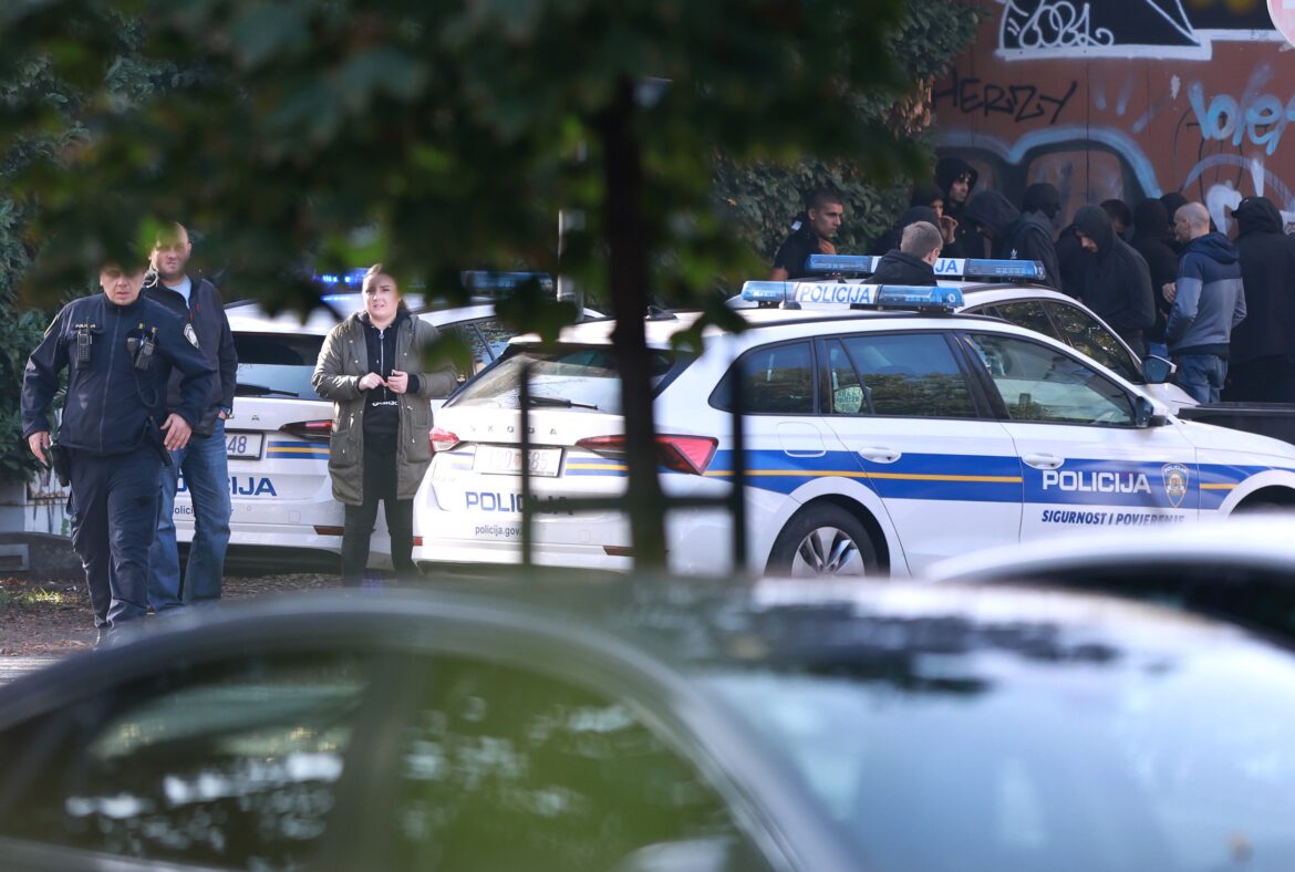 Šef vukovarske policije potvrdio hapšenje napadača na dvojicu dečaka, traga se za još jednom osobom