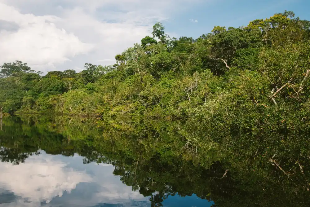 Amazonska prašuma mogla bi se suočiti sa prekretnicom do 2050. godine