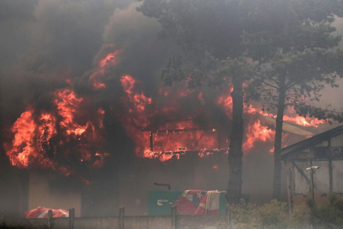 Šumski požari u Čileu, najmanje 50 mrtvih