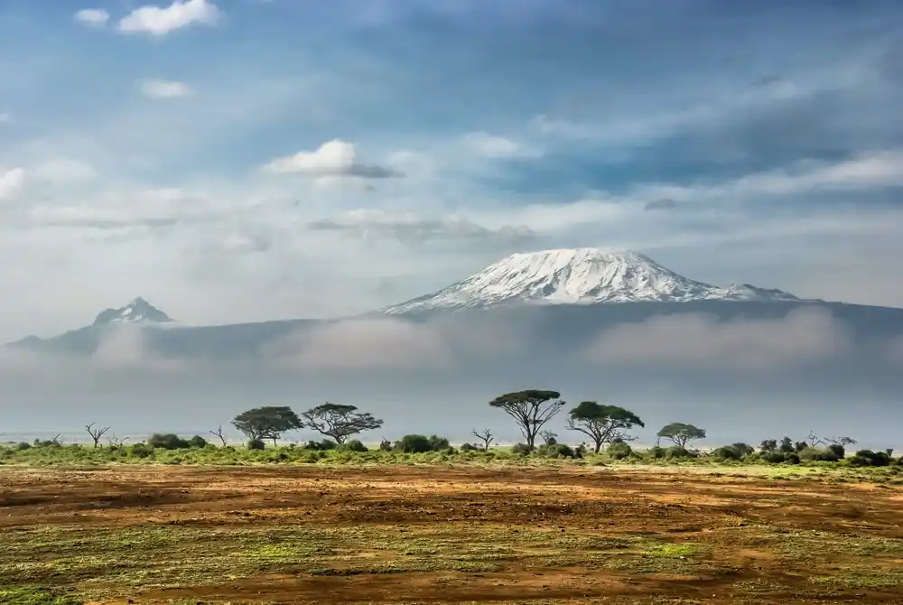 Brza urbanizacija u Africi transformiše lokalne sisteme ishrane i ugrožava biodiverzitet, kaže studija