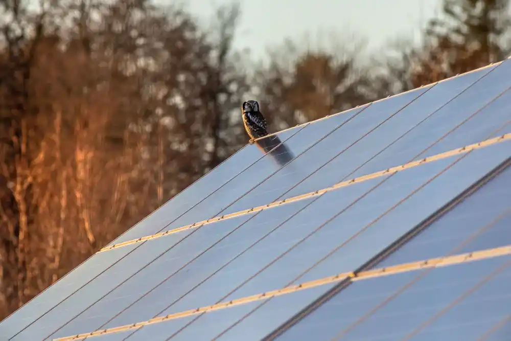 Kako se svet zagreva, solarni paneli će se brže degradirati: Šta možemo da uradimo?