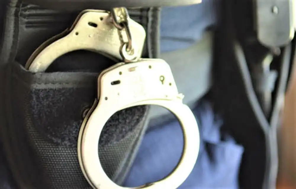 Uhapšen maloletnik u Subotici: Policija pronašla pištolj sa prigušivačem i drogu