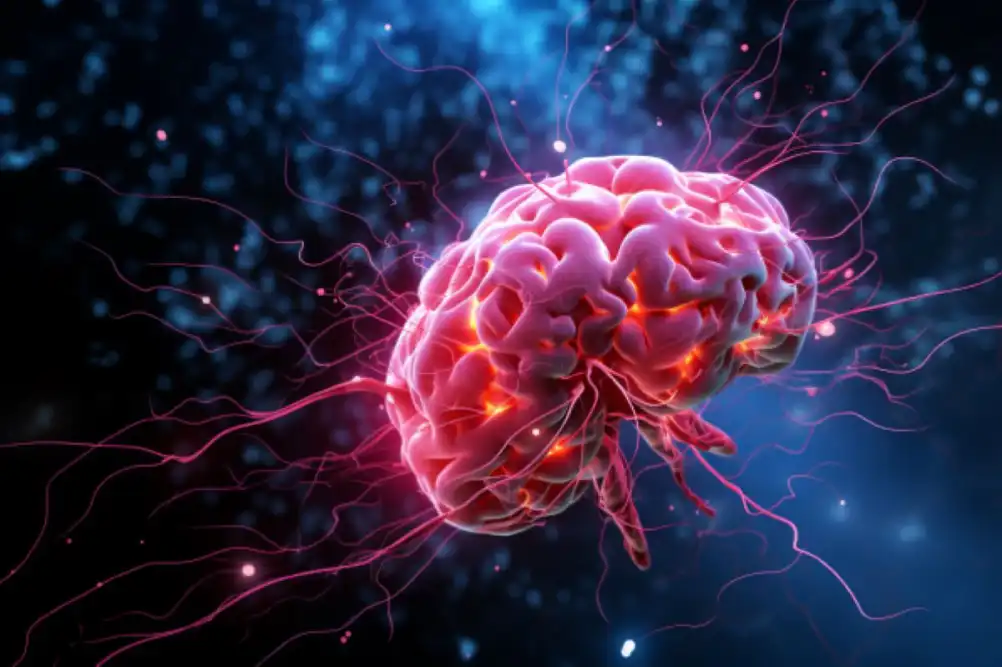 Nove istraživanje ističe povezanost periferne vaskularne disfunkcije i starenja mozga