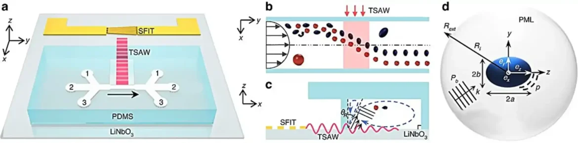 Nova tehnika za sortiranje mikročestica koristi zvučne talase