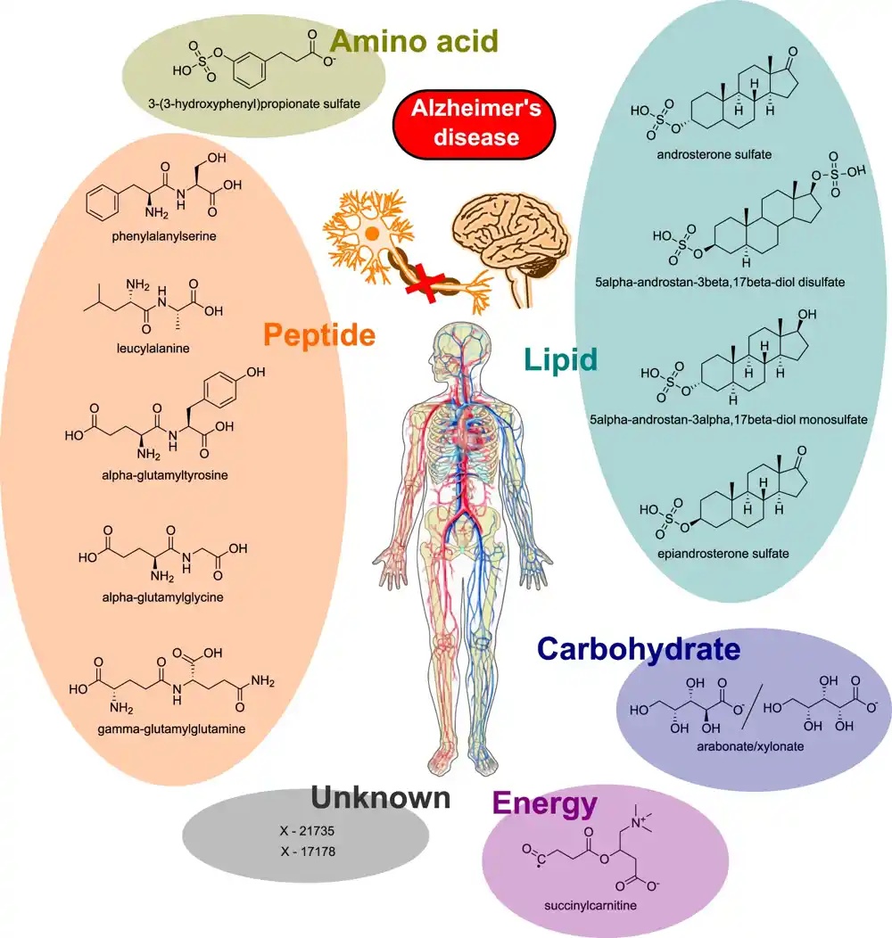 Novi biomarkeri metabolita u krvi povezani sa Alchajmerovom bolešću