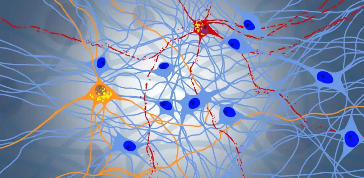 Novi uvidi u evoluciju prionskog proteina mogli bi voditi buduća istraživanja neurodegenerativnih bolesti