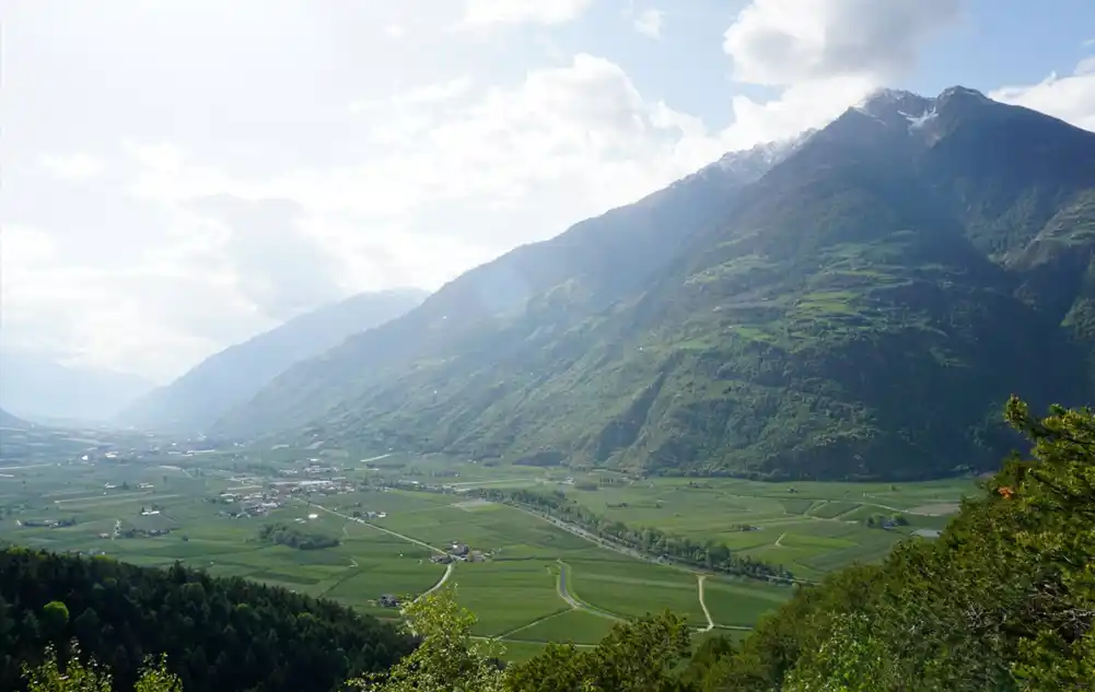 Studija pokazuje da se pesticid širi u alpskom ekosistemu od doline do vrha