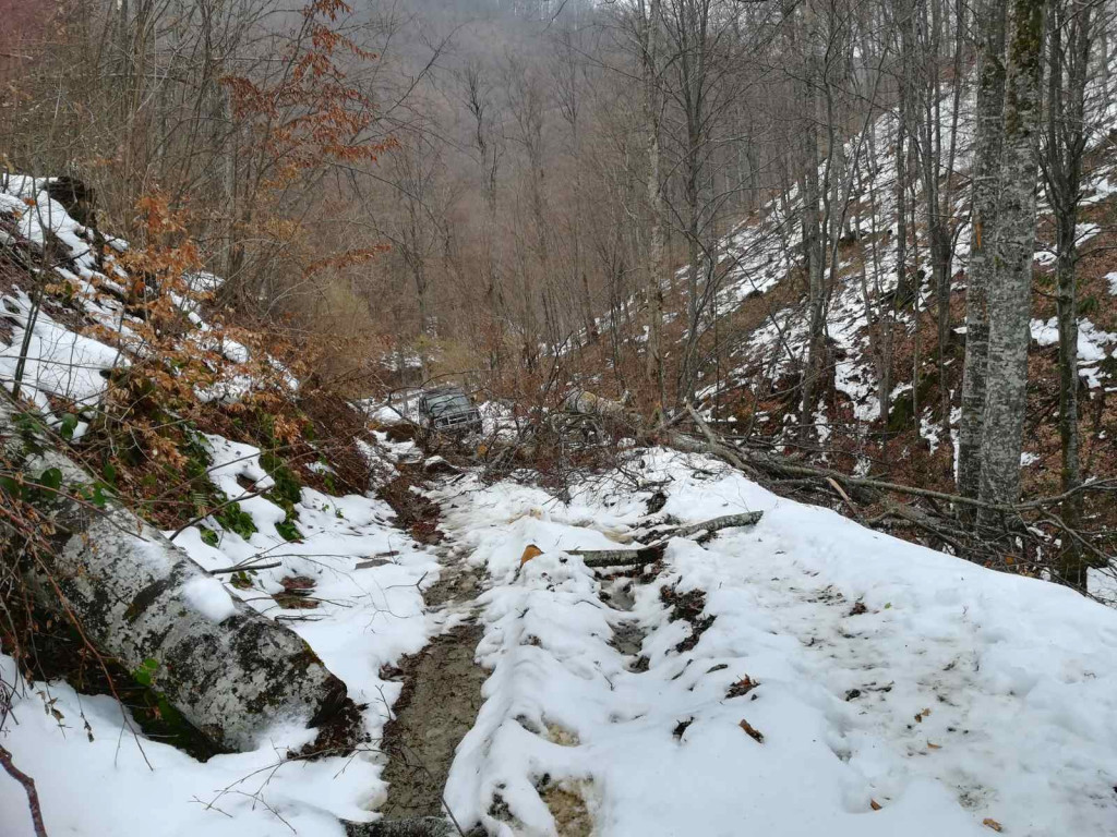 Jugpress: Euleks obavešten o incidentima sa šumokradicama, KFOR i Vojska Srbije ne odgovaraju