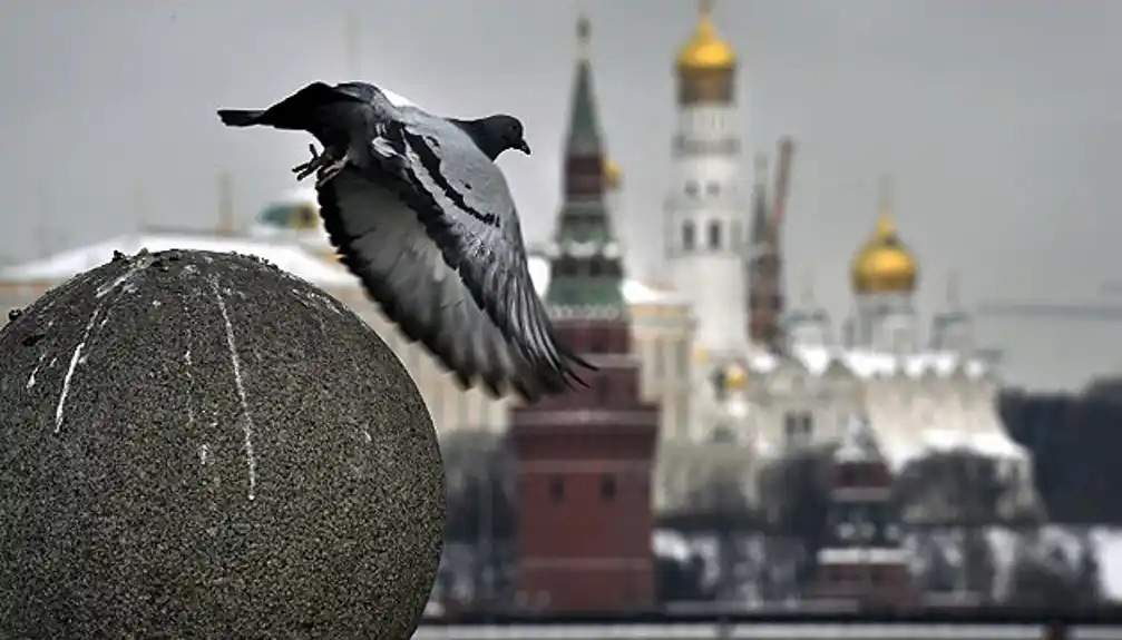 Kremlj: Taker Karlson intervjuisao Putina