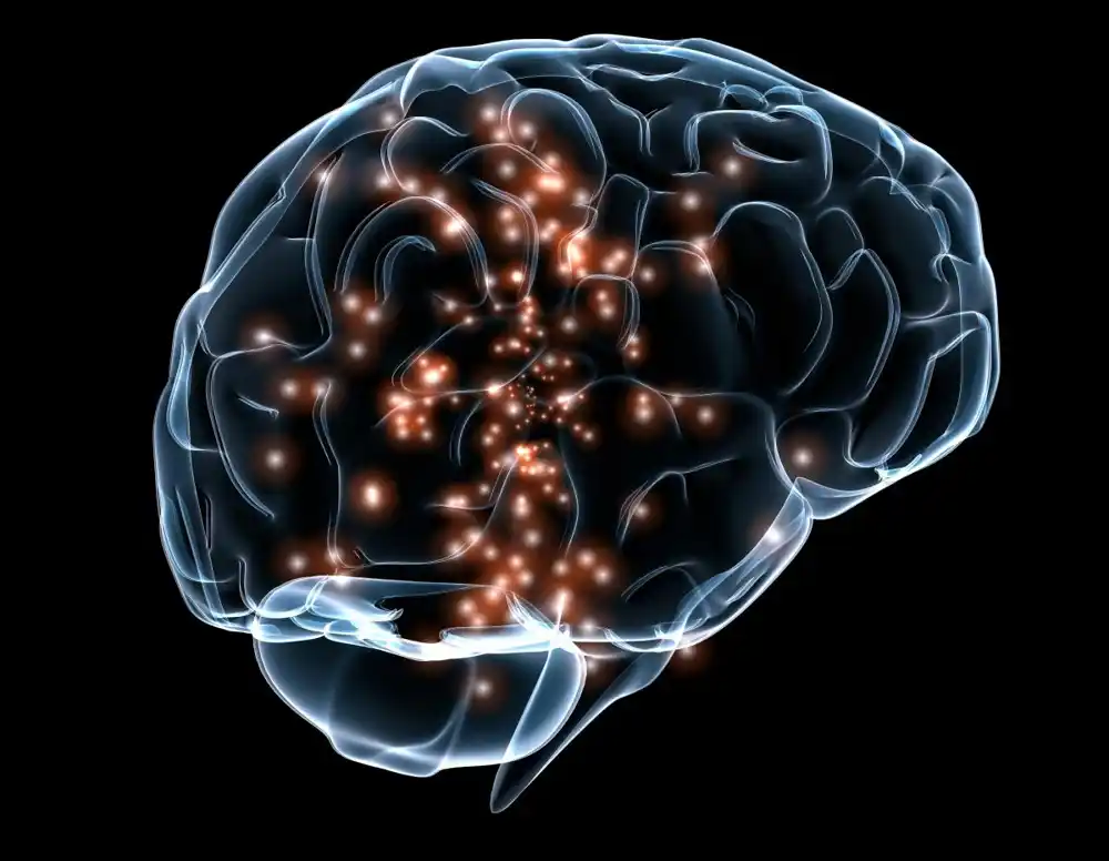 Vlakna mogu poboljšati funkciju mozga kod starijih, kaže studija