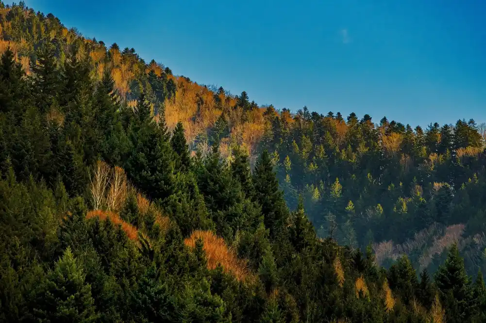 Geolozi otkrivaju da su planinski lanci niskog reljefa najveći ponori ugljenika