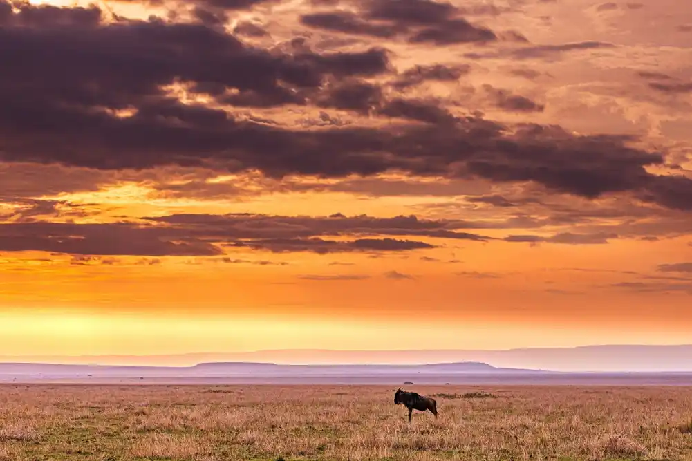 Istočna Afrika mora da se pripremi za ekstremnije padavine tokom kratke kišne sezone, kaže studija