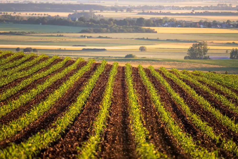 Istraživači razvijaju genomski metod praćenja otpornosti na pesticide