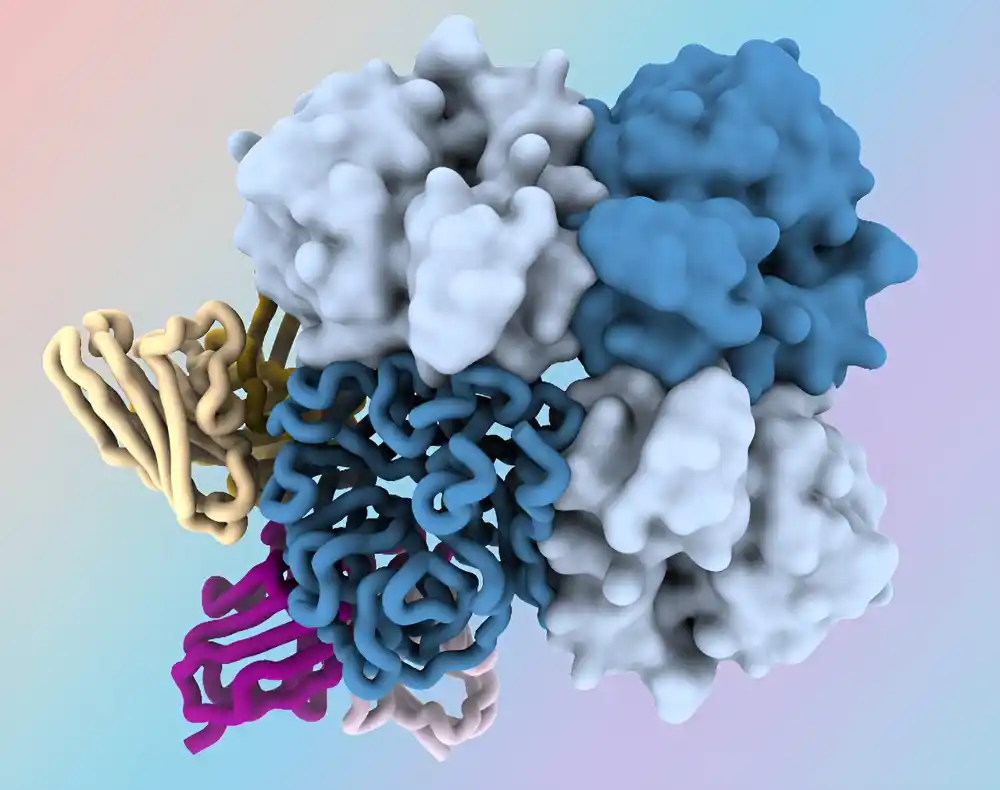 Nova antitela ciljaju na „tamnu stranu“ proteina virusa gripa