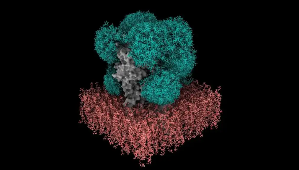 Novi softver brzo simulira strukture glikoproteina kako bi ubrzao razvoj leka